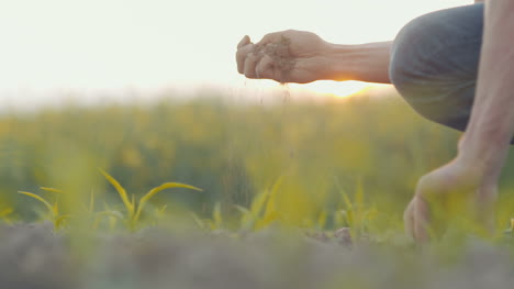 Farmer-Pouring-Organic-Soil-6