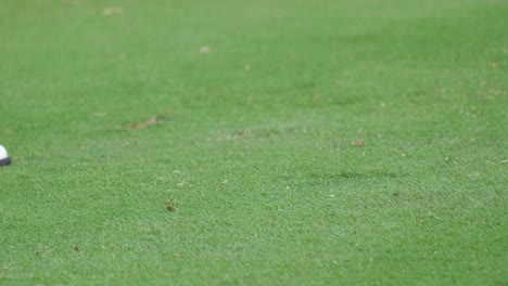 slow motion close up professional golf player swinging golf club on the green. golfer taking shot on the golf course.