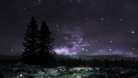 landscape during nighttime background