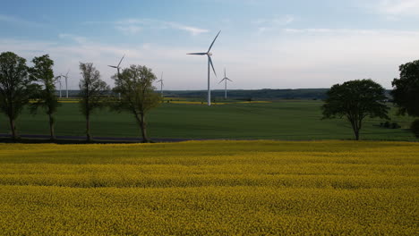 wind turbine blades spin in distance on countryside, yellow rapeseed fields in front