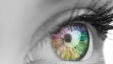 close up of female colorful eye against white background