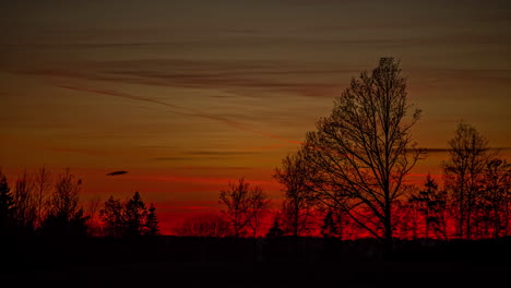 cinematic timelapse of orange sunset through trees