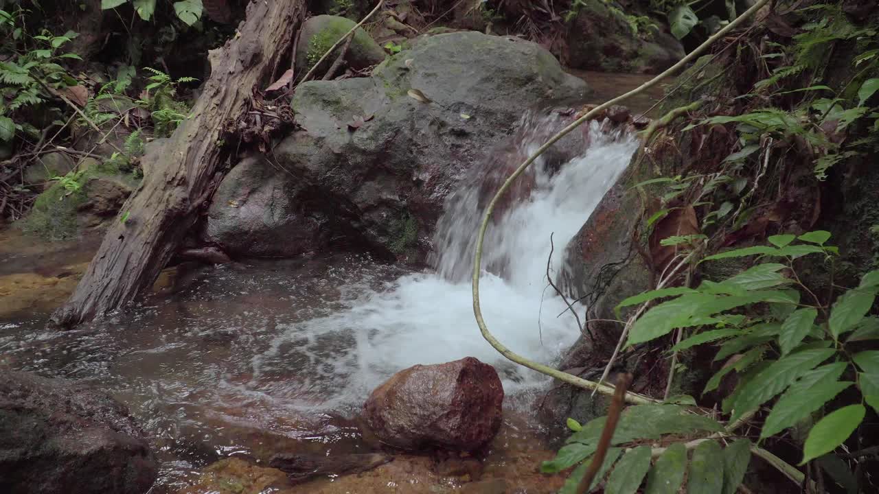 río de montaña en la selva tropical