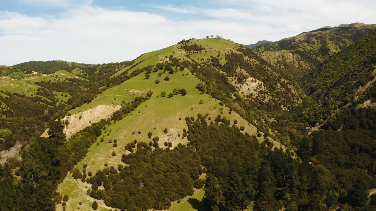 Filmato con drone di colline e foreste con strade in salita.