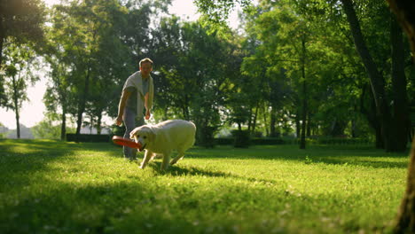 Attraktiver-Mann-Wirft-Puller-Spielzeug-Im-Park.-Energischer-Hundelauf-Fangring.