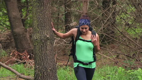 fit brunette exploring a wooded area