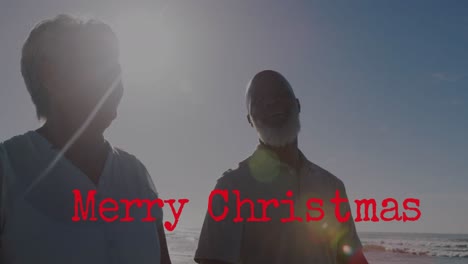 Animation-of-christmas-greetings-text-over-senior-biracial-couple-on-beach