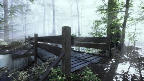 Escalones-De-Madera-En-El-Bosque-Desaparecieron-En-La-Espesa-Niebla