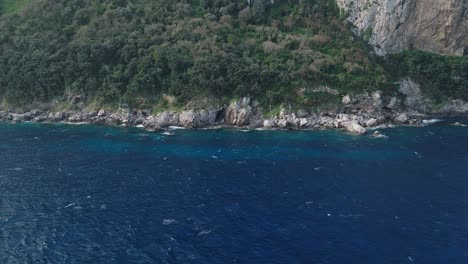 coastline of capri, italy with lush greenery and rocky cliffs over azure sea, daylight