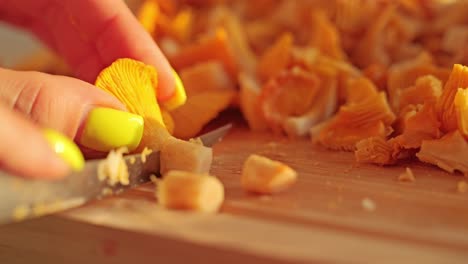 golden chanterelle cut by hand in soft evening glow, symbol of slow cuisine