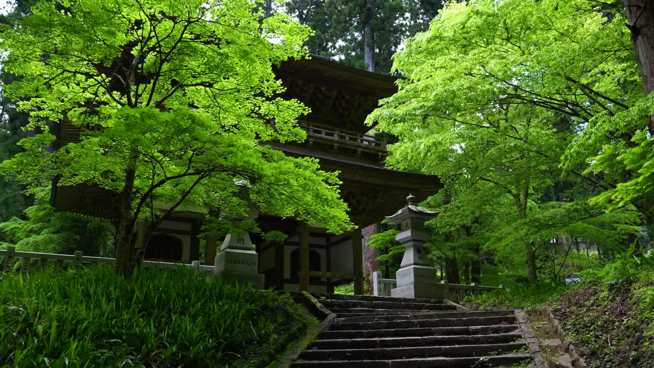 일본의 전형적인 사원 게이트를 향해 느린 움직임으로 는 것 - 울창한 숲 속 깊은 곳