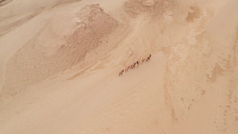 camel troop in wind erosion terrain landscape, yardang landform.