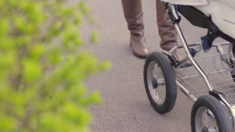 pushchair high angle closeup, woman carrying baby outside in park pathway, day