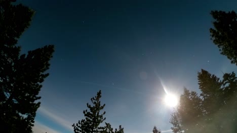 un hipnotizante time-lapse de toda la noche de altos pinos siluetados contra un cielo nocturno estrellado en south lake tahoe, california como la vía láctea brilla por encima