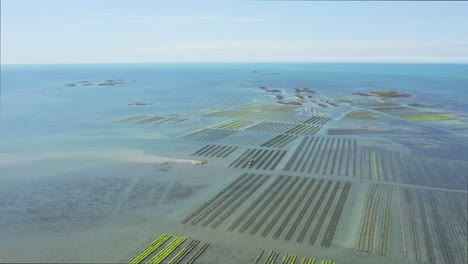 tractor at work in an oyster farm off the coast of normandy in france during low tide