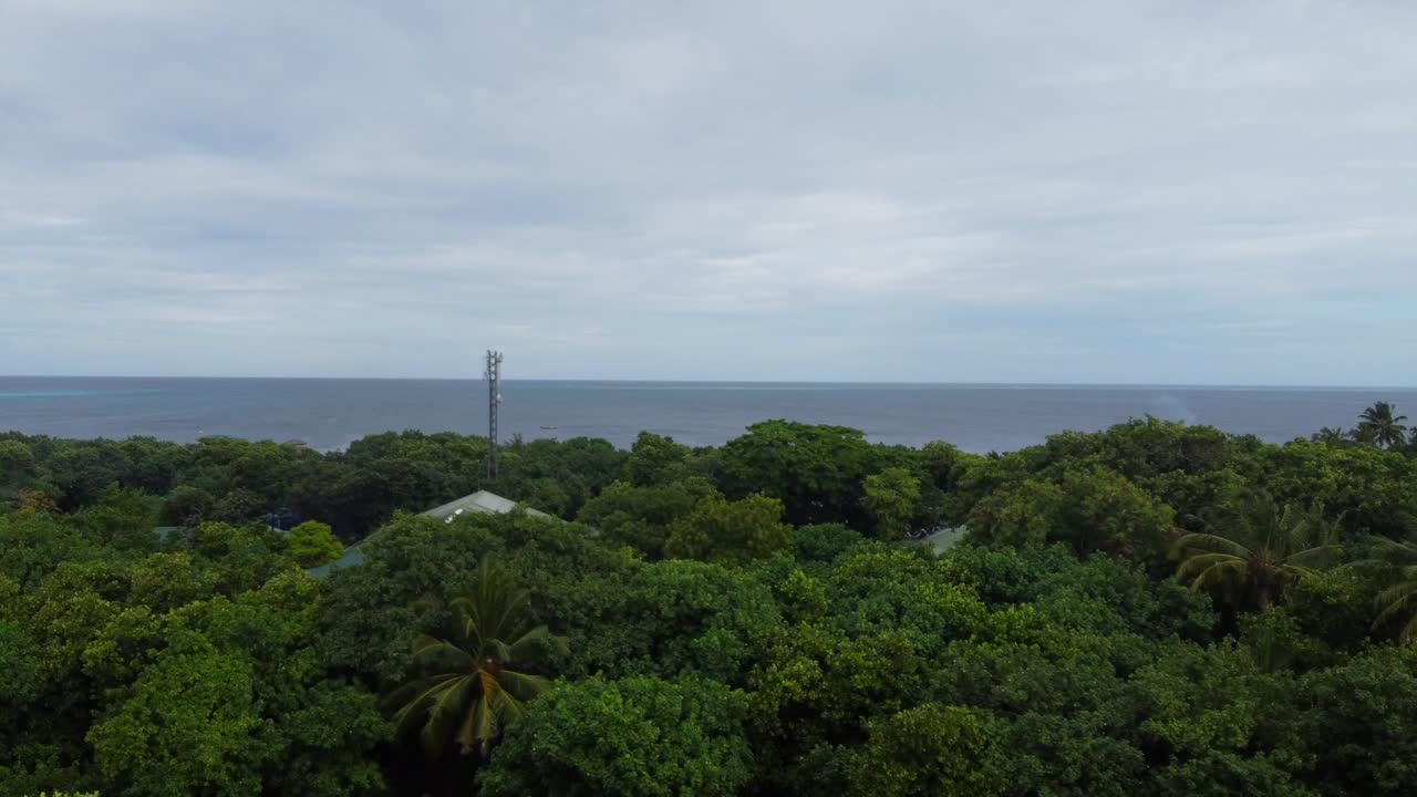 isla fresco verde vegetación vista