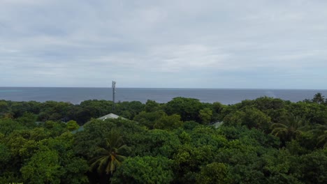 Island-cool-green-Vegetation-view