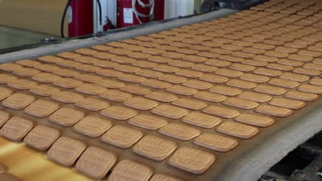 conveyor with sweet cookies at a confectionery factory