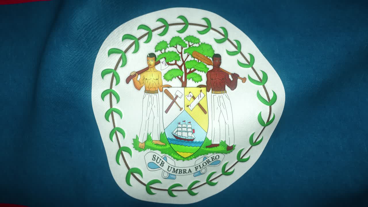 바람에 흔들리는 발