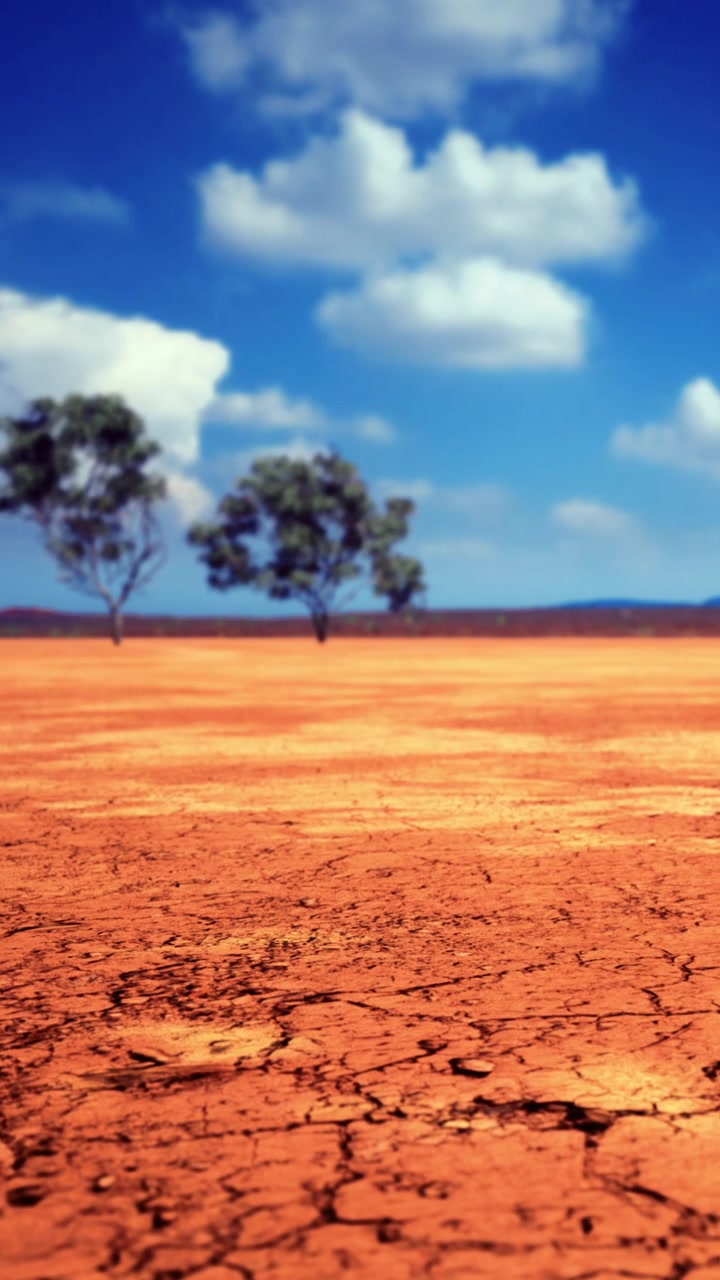 Dry landscape with trees under blue sky and clouds in remote area