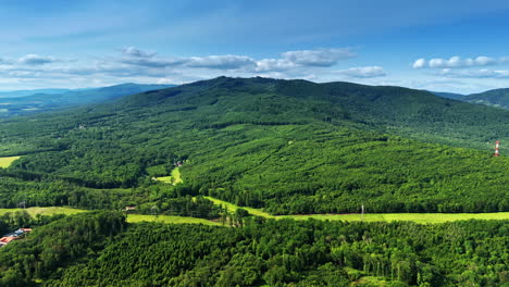 spectacular mountains covered with green forests. electrical transmission line crosses the landscape. aerial perspective.