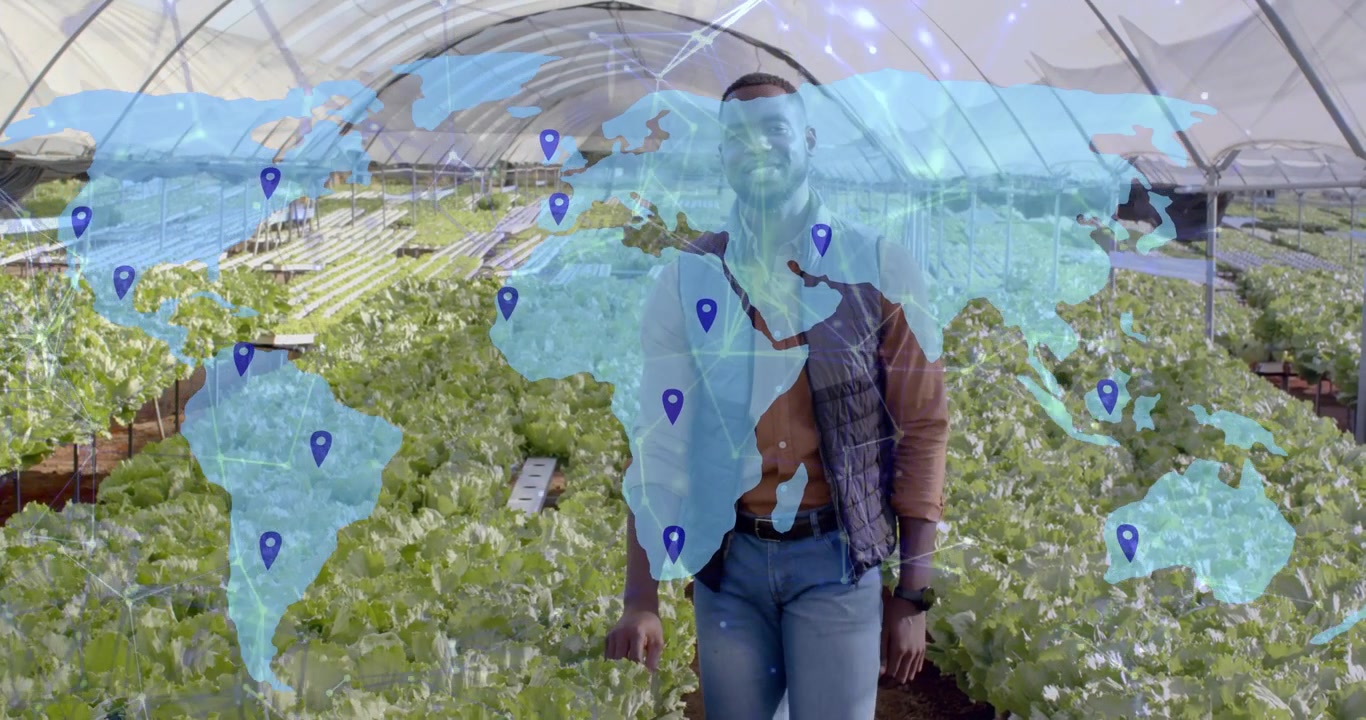 Trabalhador de agritech inspecionando alface de estufa, sobreposição de mapa mundial desaparecendo e pinos mostrando rede