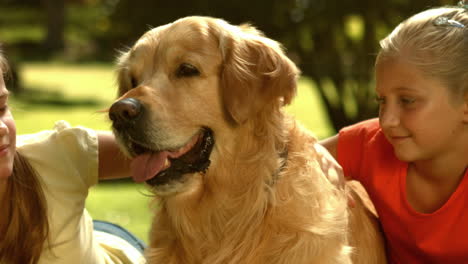 Glückliche-Geschwister-Mit-Ihrem-Hund-Im-Park