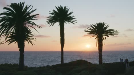 slow motion shot of sunset through large palm trees with sun rays shining down on ocean with silouette of dad and baby in foreground