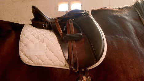 Sección-Media-De-Caballo-Con-Silla-De-Montar-4k