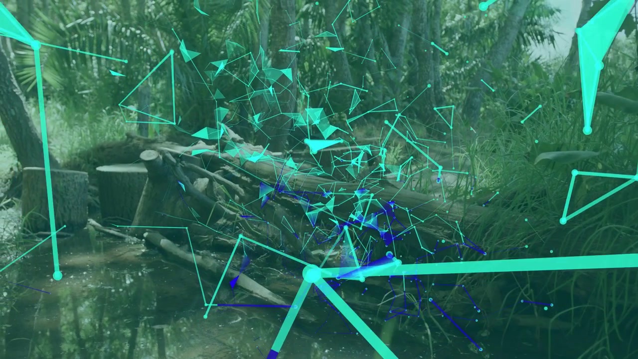 Teal particle network growing over pond, tech visualization starting, nodes connecting and pulsing