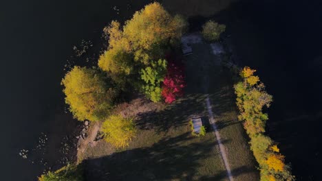 Fall-Color-Trees-Over-Lake-in-Michigan