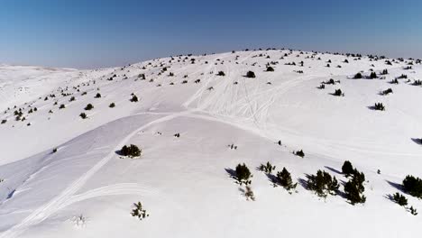 Beautiful-flight-above-snow-covered-Akoura-mountain-range-with-snowmobile-tracks-and-sporadic-green-tree-outcroppings,-Lebanon-overhead-aerial-approach