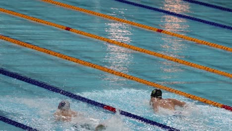 nadadores compitiendo en una piscina con divisores de carriles