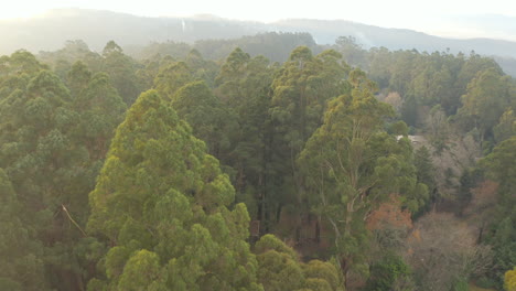 white utility vehicle driving along dirt road looking across local community over tree top landscape