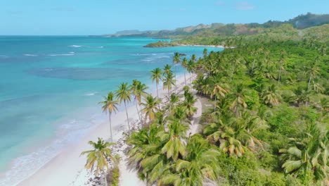 Color-contrast-of-Playa-Rincon-white-beach-and-blue-ocean-water-with-green-forest-in-Dominican-Republic