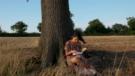 wide shot of a young woman leaning up against a tree and reading in the setting sun