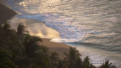 ocean waves brushing up on golden sandy shore in the early morning on a tropical beach filled with palm trees