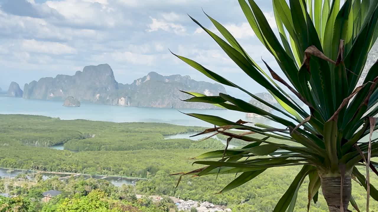 Daytime panoramic view of lush mangroves, limestone cliffs, and sea under partly cloudy sky