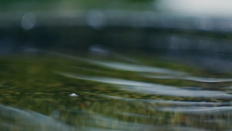 water droplets on a surface