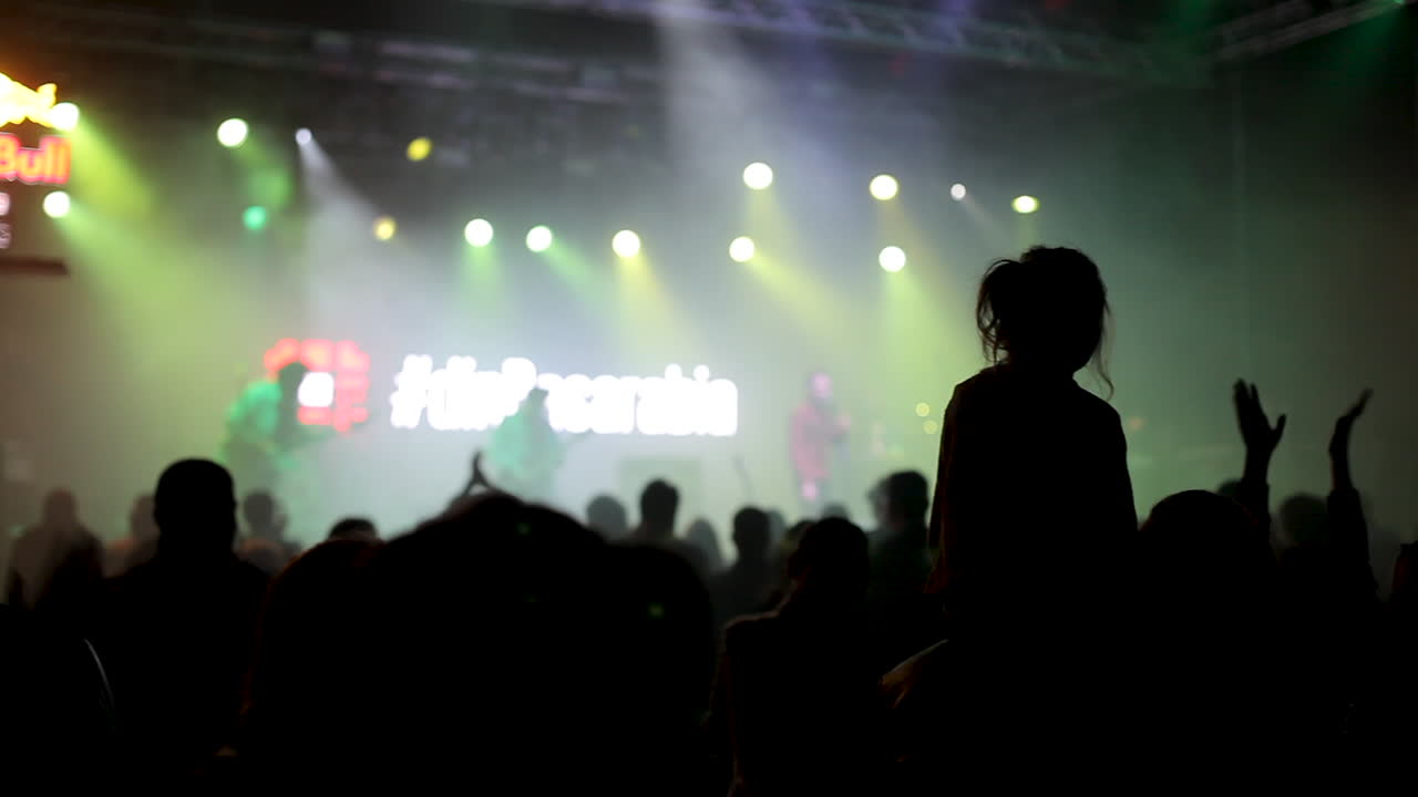 Concert Crowd and Stage Lights