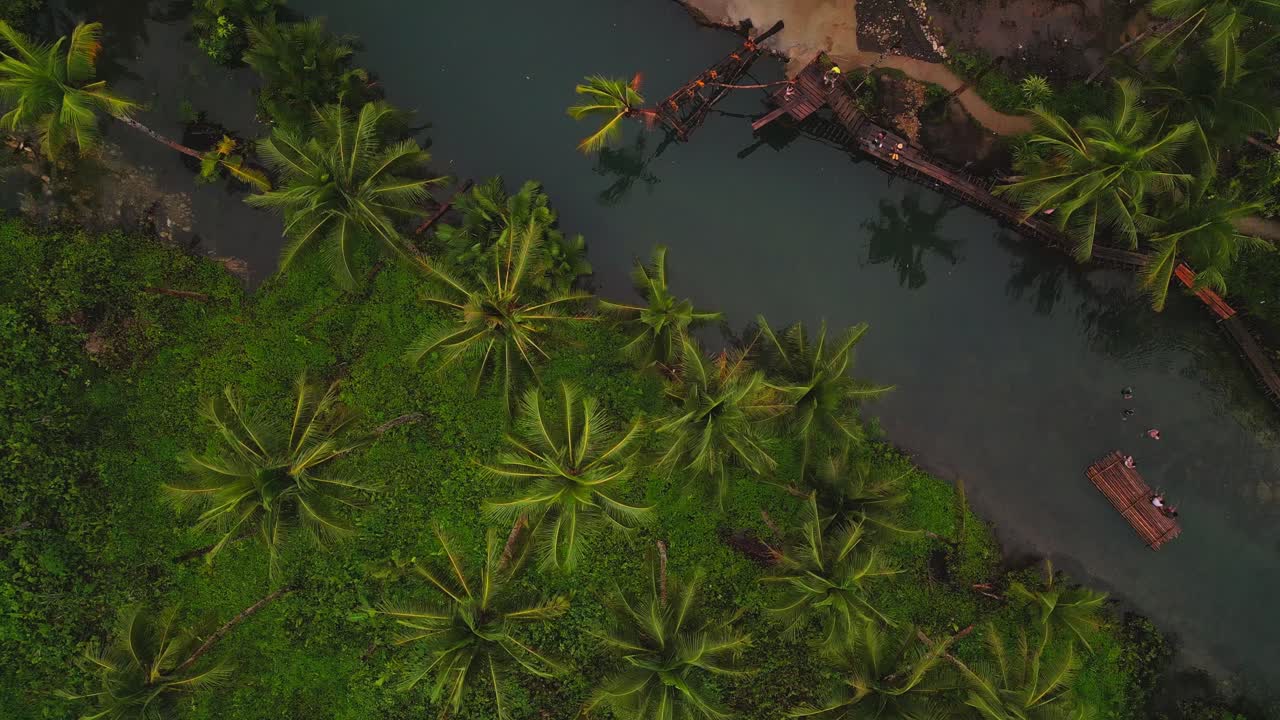 vista aérea de la carretera del bosque de palmeras de coco en la isla de siargao en filipinas