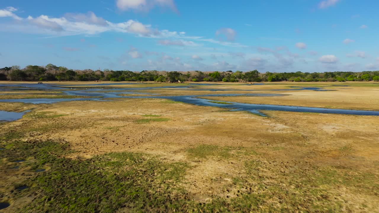 paisaje tropical con un lago. sri lanka.