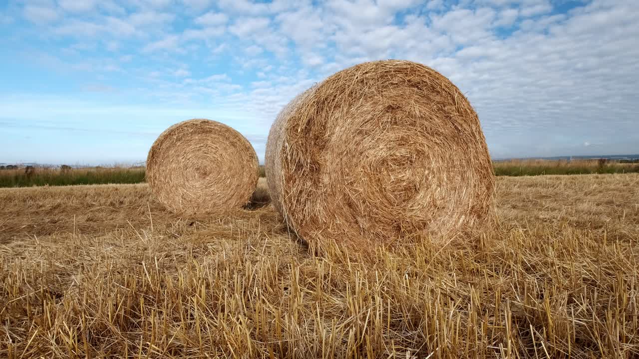 fianzas redondas de heno recién cosechadas en el