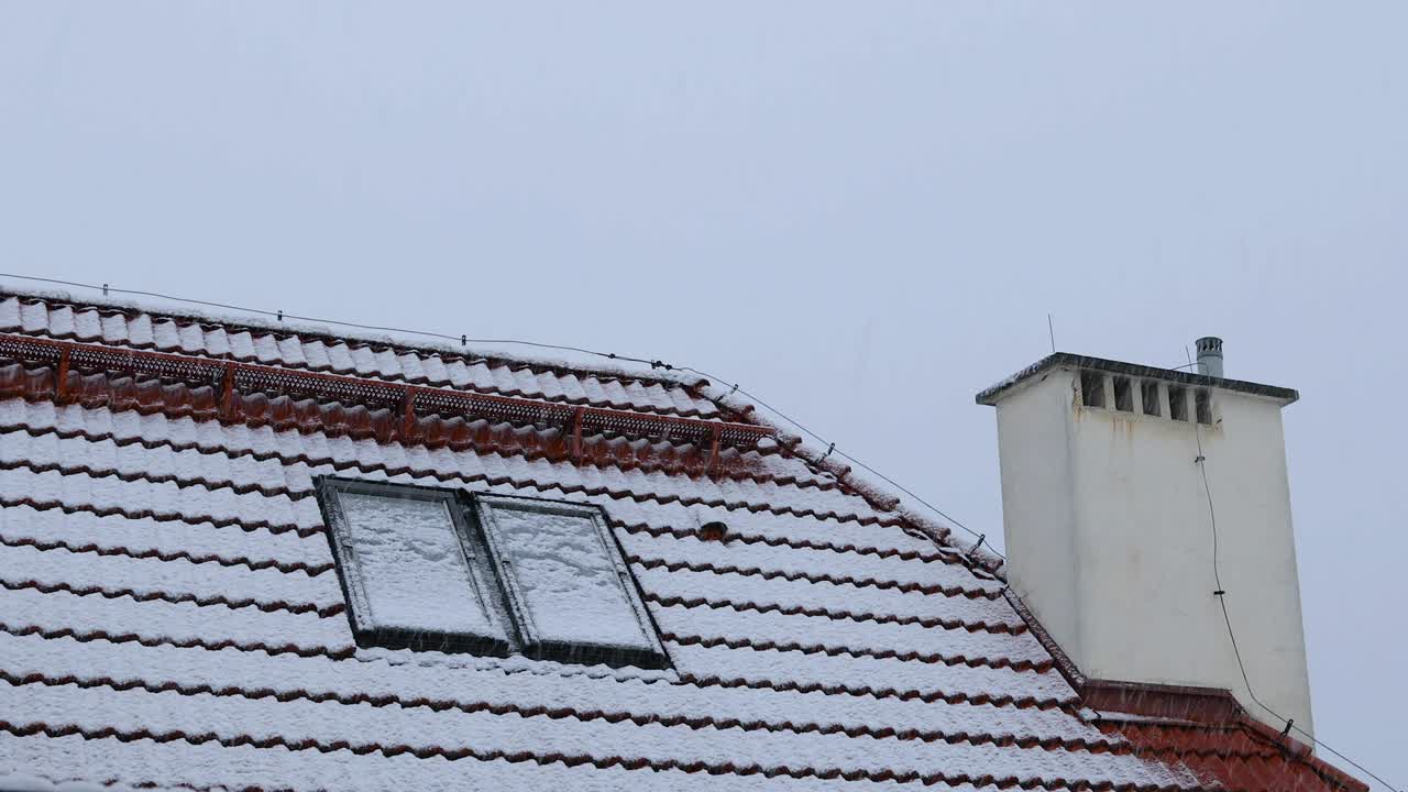 눈 아래의 지붕 창문 (루프)