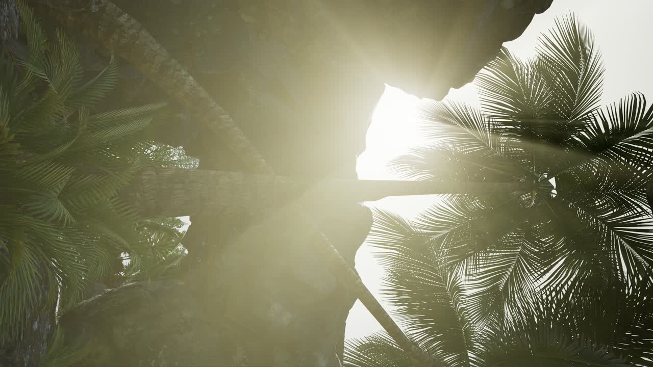 вертикальный снимок тропической пещеры на закате