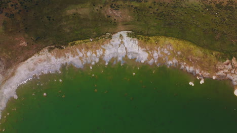 salt at the waterfront of beautiful aquamarine waters. circling over the bare shore of mono lake, california, usa at daytime.