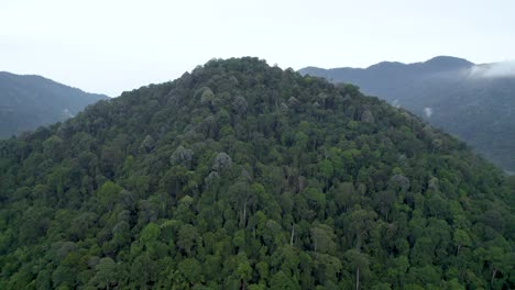 Eine-Verkleinerte-Aufnahme-Einer-Großen-Anzahl-Von-Bergen,-Weiten-Landschaften,-Die-Den-Horizont-Berühren,-Himmel-Und-Dichter,-üppiger-Wald