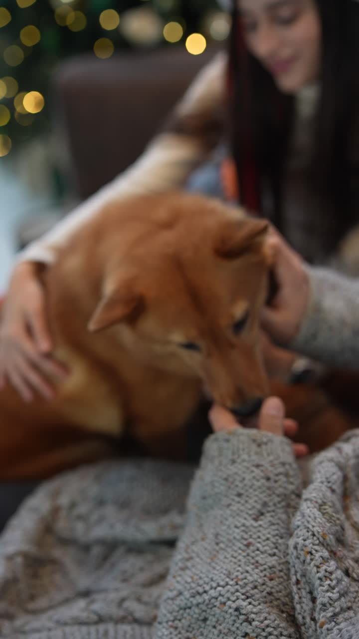 familia con perro disfrutando de la navidad juntos