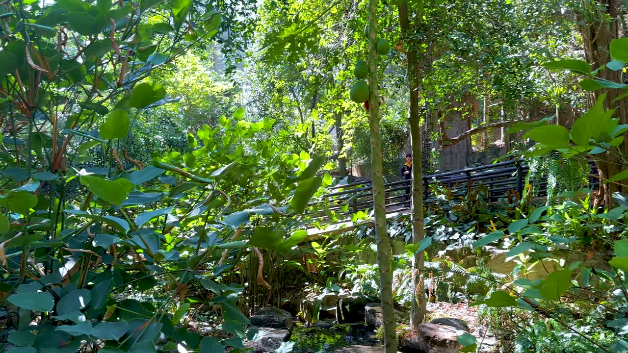 활기찬 식물과 나무가 조용한 환경에서