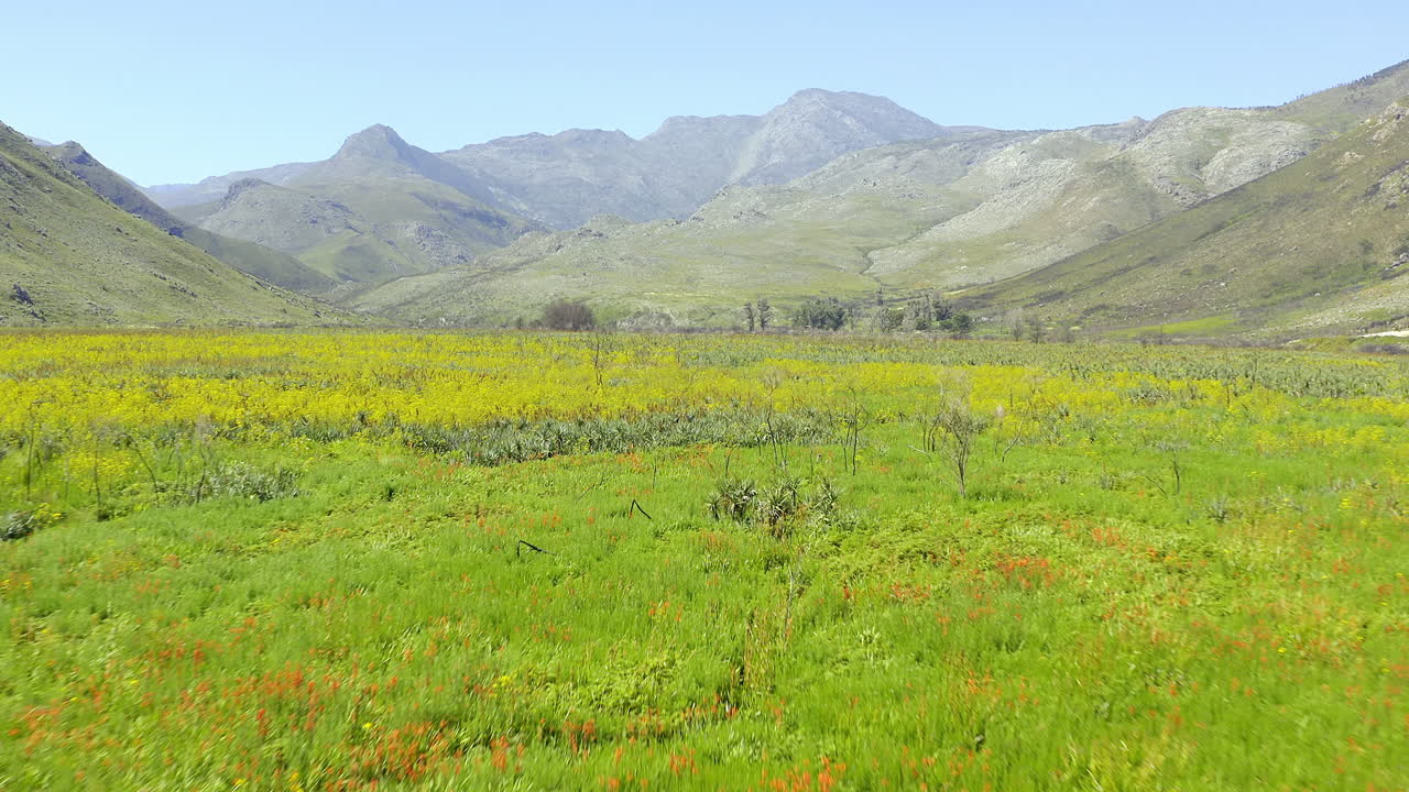 There&rsquo;s so much beauty and color found in nature